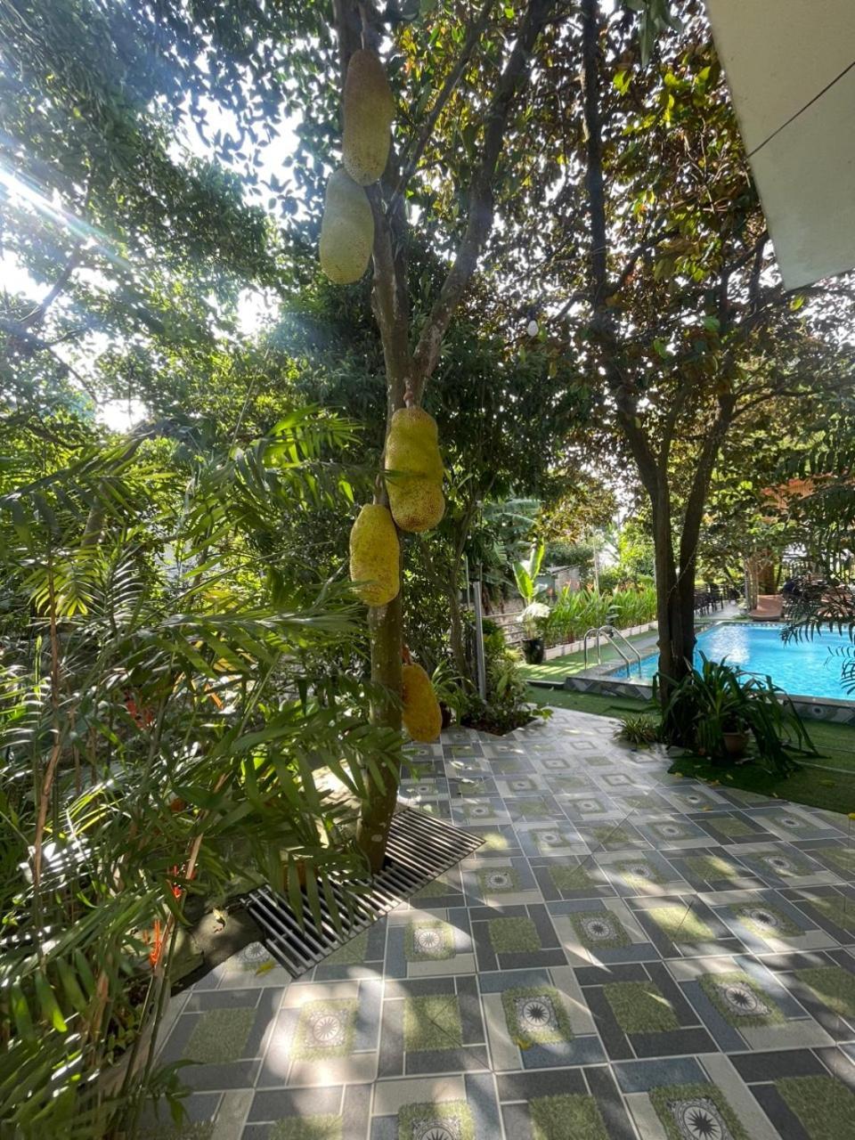 Tam Coc Relax Homestay Ninh Bình Kültér fotó