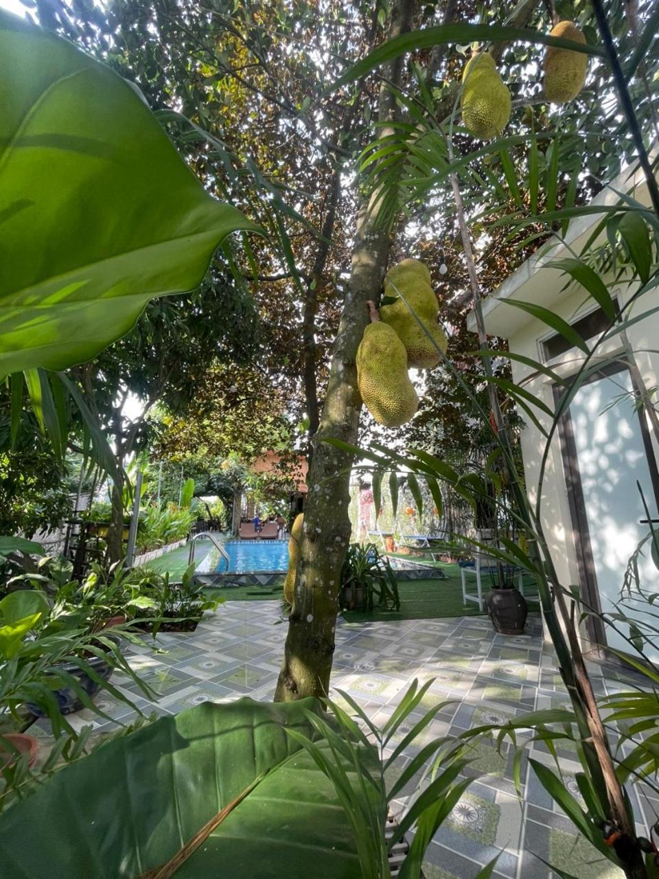 Tam Coc Relax Homestay Ninh Bình Kültér fotó